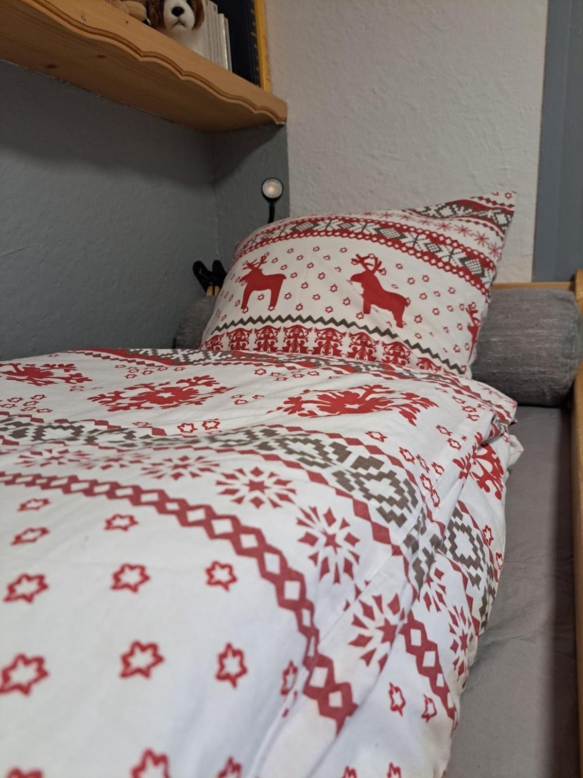 Studio 2 Alpes Style Chalet Au Pied De Telesiege Du Diable لو دوز آلب المظهر الخارجي الصورة